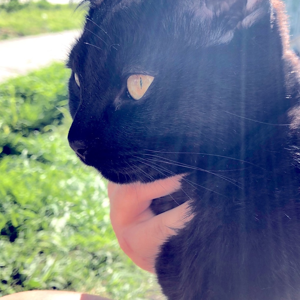 Meet your Posher, Cindy